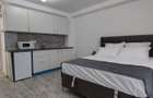 Studio modern, 30 mp | Strada Samuil Vulcan - 3
