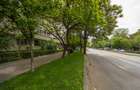 Investitie sau locuire | 2 camere | Ion Mihalache - 11