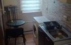 PF, Alexandru, inchiriez apartament 2 camere ,CT, centrala termica, Alexandru cel Bun, Parcul Voievozilor, Alexandru, Palas, Proprietar, balcon - 7