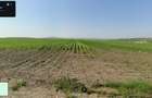 Dezvoltare Imobiliara: Teren 8.300 mp Sf. Ilie (Zona Sf. Ecaterina) - 4