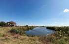 Teren Snagov Sili?tea 500mp(10000 ) , la 100m de lacul Snagov