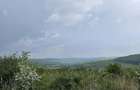 Vand teren Intravilan Padureni, Com. Chinteni , 2900 mp - 6