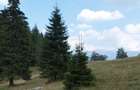 Teren 768 mp Piatra Craiului, Sirnea/Ciocanu vedere superba, langa padure - 1