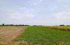 Proiect Greenfield, S-22Ha, P.U.Z, Rezidential, Energie Verde, Ilfov.