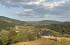 Vand teren intravilan construibil cu panorama deosebita - 2453 mp Rosia - 5