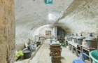 Colna cu 7 camere in Covasan? ?i teren 9 ha - 3