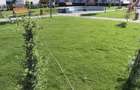 Apartament, 53,21 m2, - 2