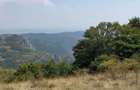 Teren extravilan de vanzare Rame?, jude?ul Alba | 600 mp - 2
