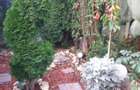 Casa Trivale+loc parcare separat - 6