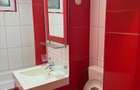 Apartament 2 camere, Parter, Banat, Renovat - 8