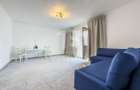 Pet Friendly | Sebastian | 13 Septembrie | Vulcan | PetreIspirescu - 3