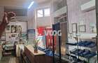 SPATIU COMERCIAL STRADAL-110 MP-ELISABETIN - 1