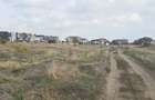 Vanzari terenuri in Constanta zona Tomis Nord - Dedeman - Constanta (Constanta)
