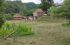 Casa de caramida la rosu, 3765mp teren intravilan, Valea Ariesului, AB - 8