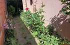 Vand casa strada Bolintineanu, Drobeta Turnu Severin - 5