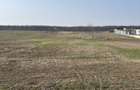 Teren de 2500 mp, în Grădiștea - 2