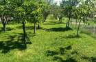 Vanzare casa individuala, proprietar , Harman - 12