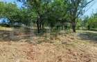 Casa cu 2 camere, 250 mp, zona sud-est - 1