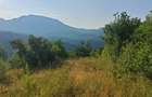 Vand ansamblu locuin?a vacanta - permanenta in zona retrasa- iidilica - 5