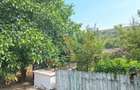 Hoceni - Teren Intravilan 4200 mp si casa batraneasca - 3