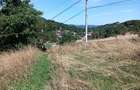 Teren intravilan ?i casa de vanzare, 3980 mp - 11