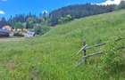 Vand teren la munte Bucovina INTRAVILAN - 4