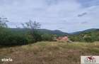 Casa in Metes - Poiana Ampoiului
