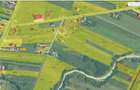 Teren agricol 3009mp FS=34.8m Titesti AG - 6