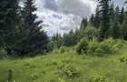 TEREN EXCEP?IONAL 2 Ha PE VIA TRANSILVANICA IN BUCOVINA - 8