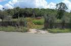 teren intravilan 1.440 mp la ?oseaua principala Stoene?ti, Giurgiu 20.000 (aprox. 13,9 m - 4