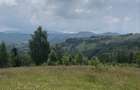 Teren de vanzare, 8.800 mp, Sat Pestera, Comuna Moieciu extravilan Vedere superba Bucegi & Piatra Craiului |deal pentru A-frame, case de vacanta - 4