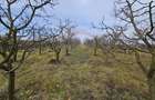 Teren extravilan 10,791mp Falticeni / Strada DJ209A, Opriseni - 14