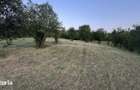 Teren de vanzare extravilan - 5