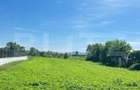 Teren de vanzare, 2750 mp, in Jelna - 4