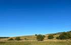 Teren agricol extravilan de 2900 mp, în Nucet - 3
