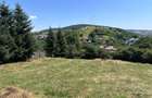 Teren intravilan in centru Garcina, jud.Neamt - 2