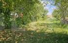 Teren extravilan de vanzare, 4000 mp, zona Simeria - 5