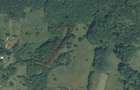 Teren intravilan 3.186 mp Sat Varmaga, Certeju de Sus, Hunedoara lumini? la poalele muntelui - 1
