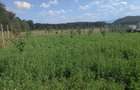 Teren agricol de vanzare, 500mp, imprejmuit - 2