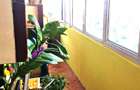 Militari, 4 camere, confort 1 sporit TEL 0724370636 - 1