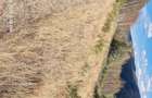 Vand doua parcele de teren in suprafa?a de 3000 ?i 4700 mp - 1