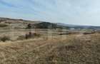 Teren extravilan 6 ha, Stejeris, com Moldovenesti - Moldovenesti (Cluj)