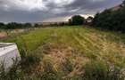 1500 MP Teren de Vanzare langa Lac Pasarea in Pasarea Frumusani