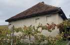 Vand casa in Pestis Judetul Bihor
