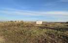 Snagov-Tancabesti iesire la lacul Snagov