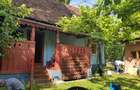 Casa individuala, curte, gradina, 750 mp RASINARI central, in Marginimea Sibiului - 2