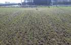 Teren Slobozia Noua, Ialomita, parcele teren intravilan, 500-2000m, 20-80 euro/mp - 6