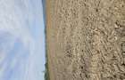 Vanzare teren agricol - 4