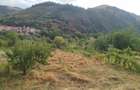 Teren de 20 mp, în Laz (Săsciori) - 1