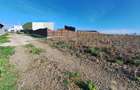 Teren 700m2 intravilan Catamaresti Deal - 4